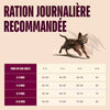 Carnilove Aliment Sec pour Chat ACTIVE Chaton - Saumon et dinde