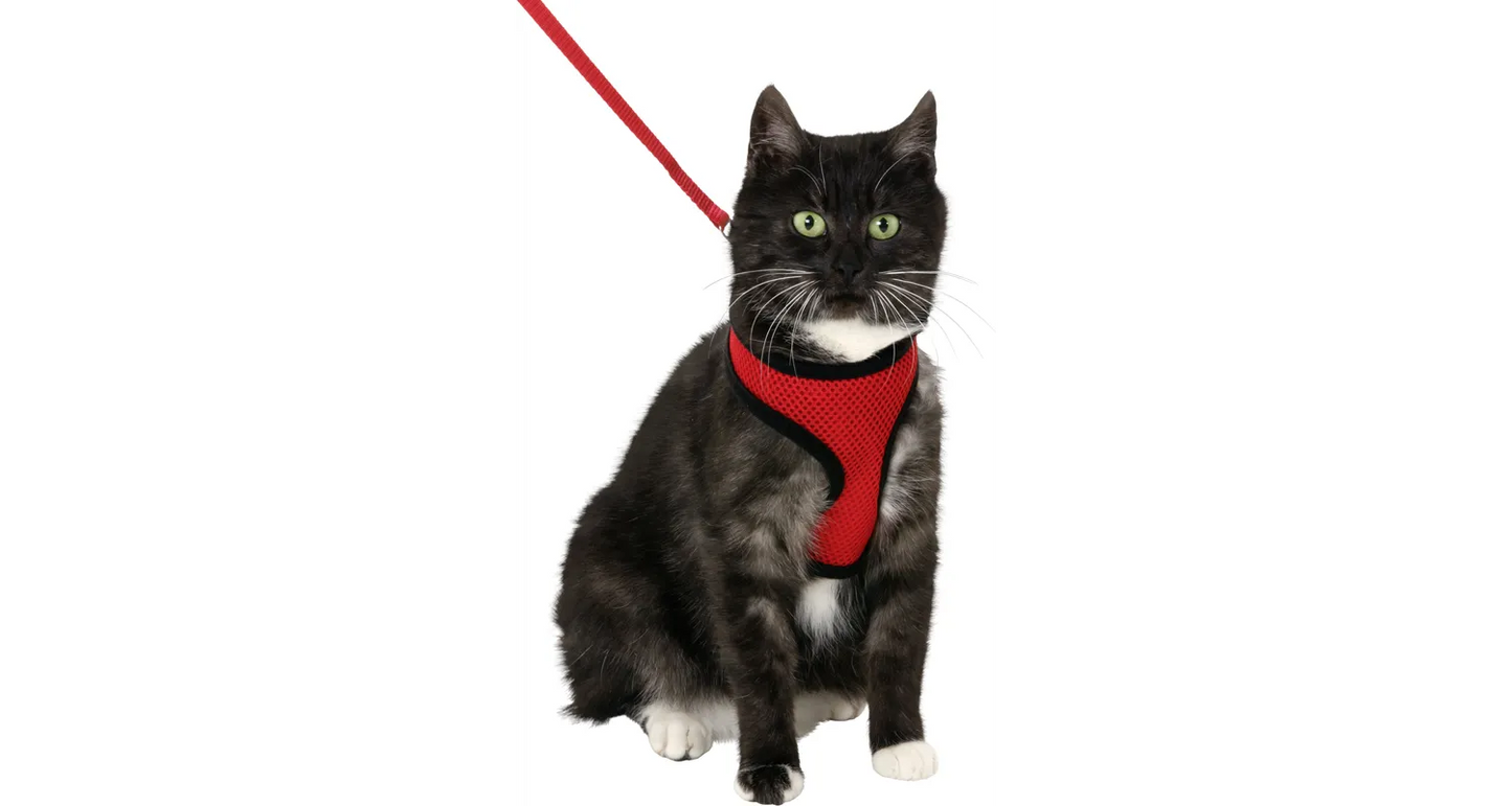 HARNESS WITH LEASH HARMS RED & BLACK