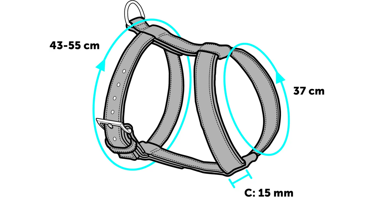 HARNESS WITH LEASH HARMS RED & BLACK