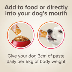 Beaphar Pâte Multivitaminée Supplément pour Chien 100 g