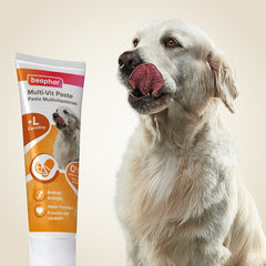 Beaphar Pâte Multivitaminée Supplément pour Chien 100 g