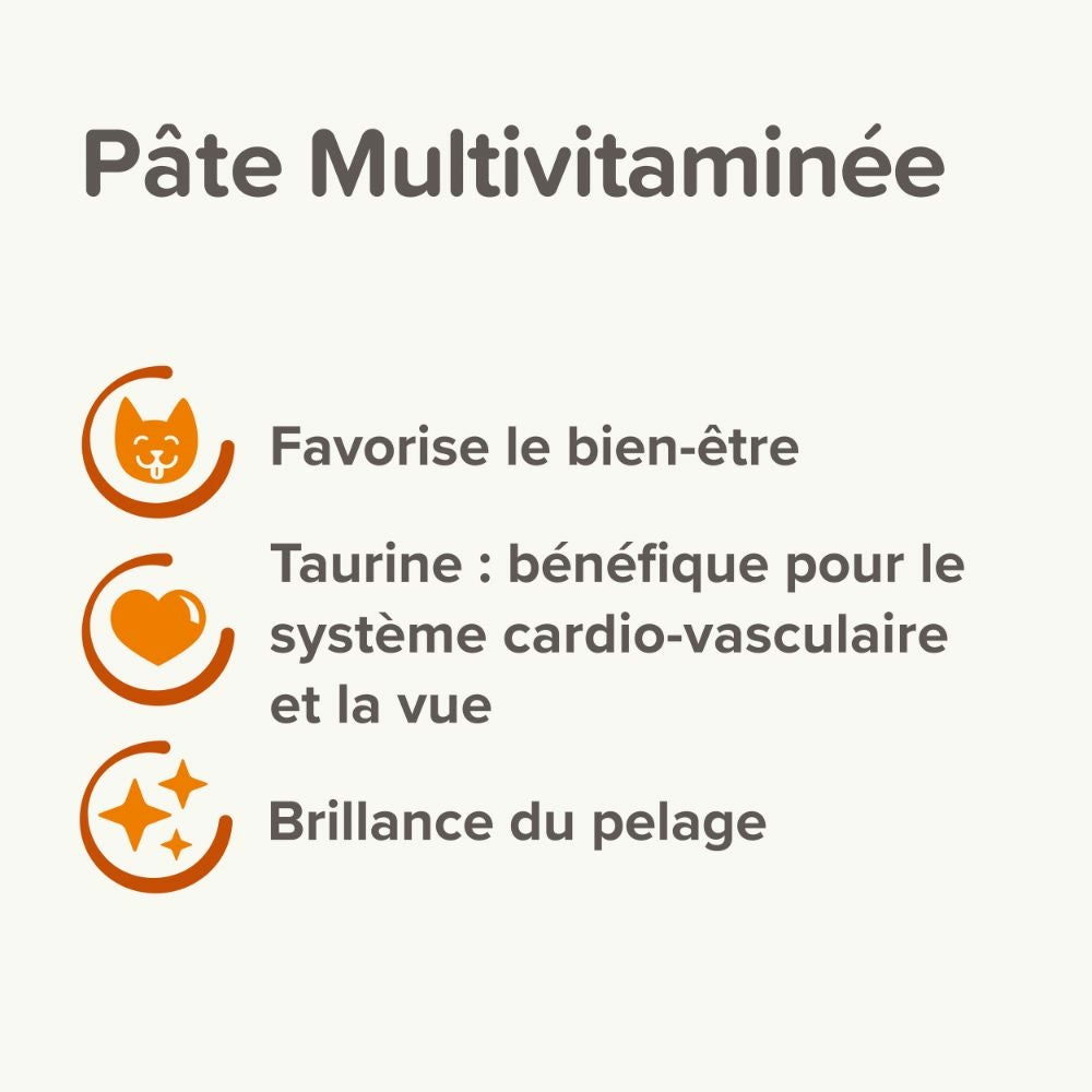 Pâte multivitaminée à la taurine et aux omégas Supplément pour chat 100g