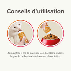Pâte multivitaminée à la taurine et aux omégas Supplément pour chat 100g