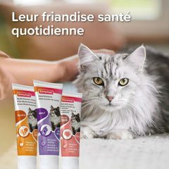 Pâte multivitaminée à la taurine et aux omégas Supplément pour chat 100g