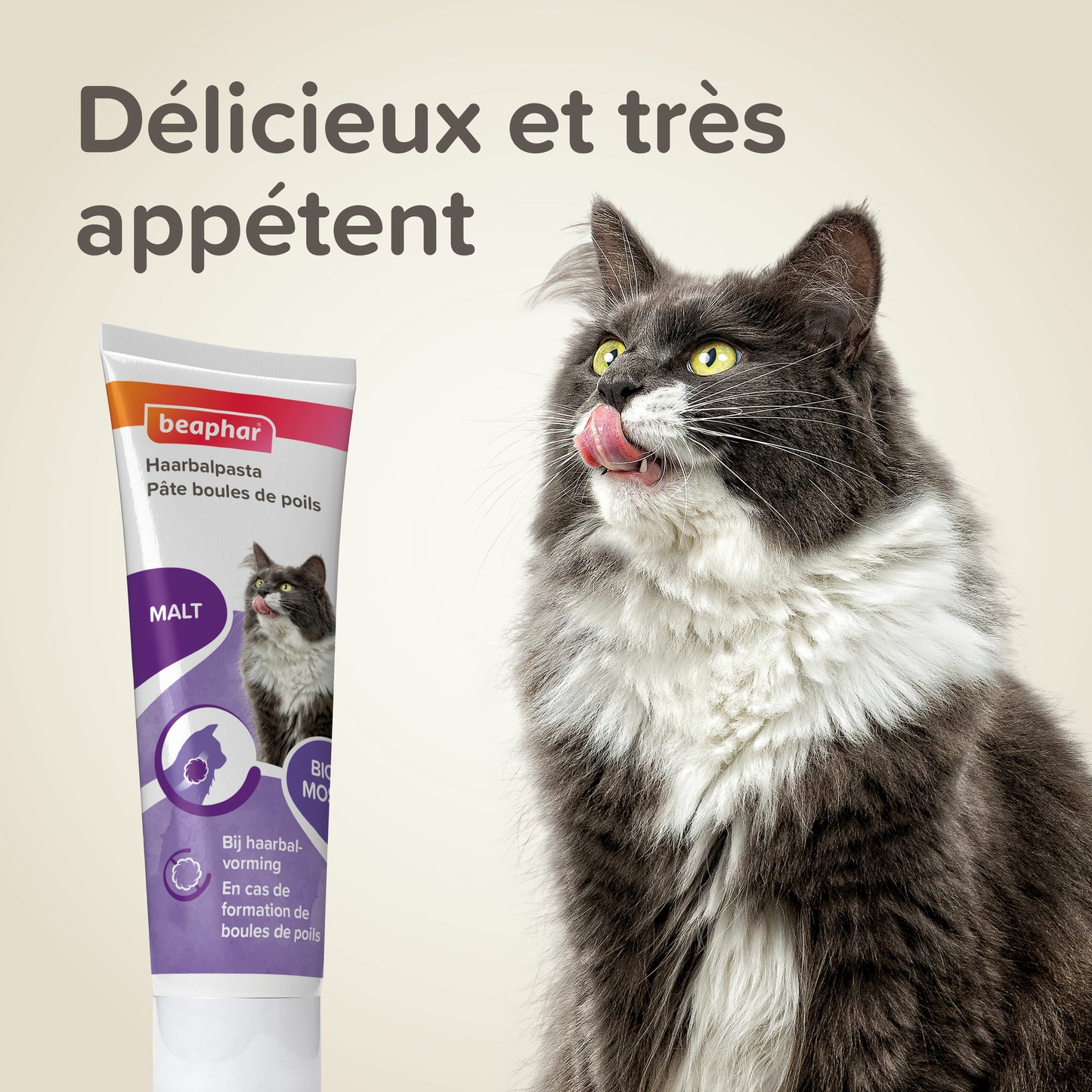 Pâte anti-boules de poils, au malt Supplément pour Chat 100g