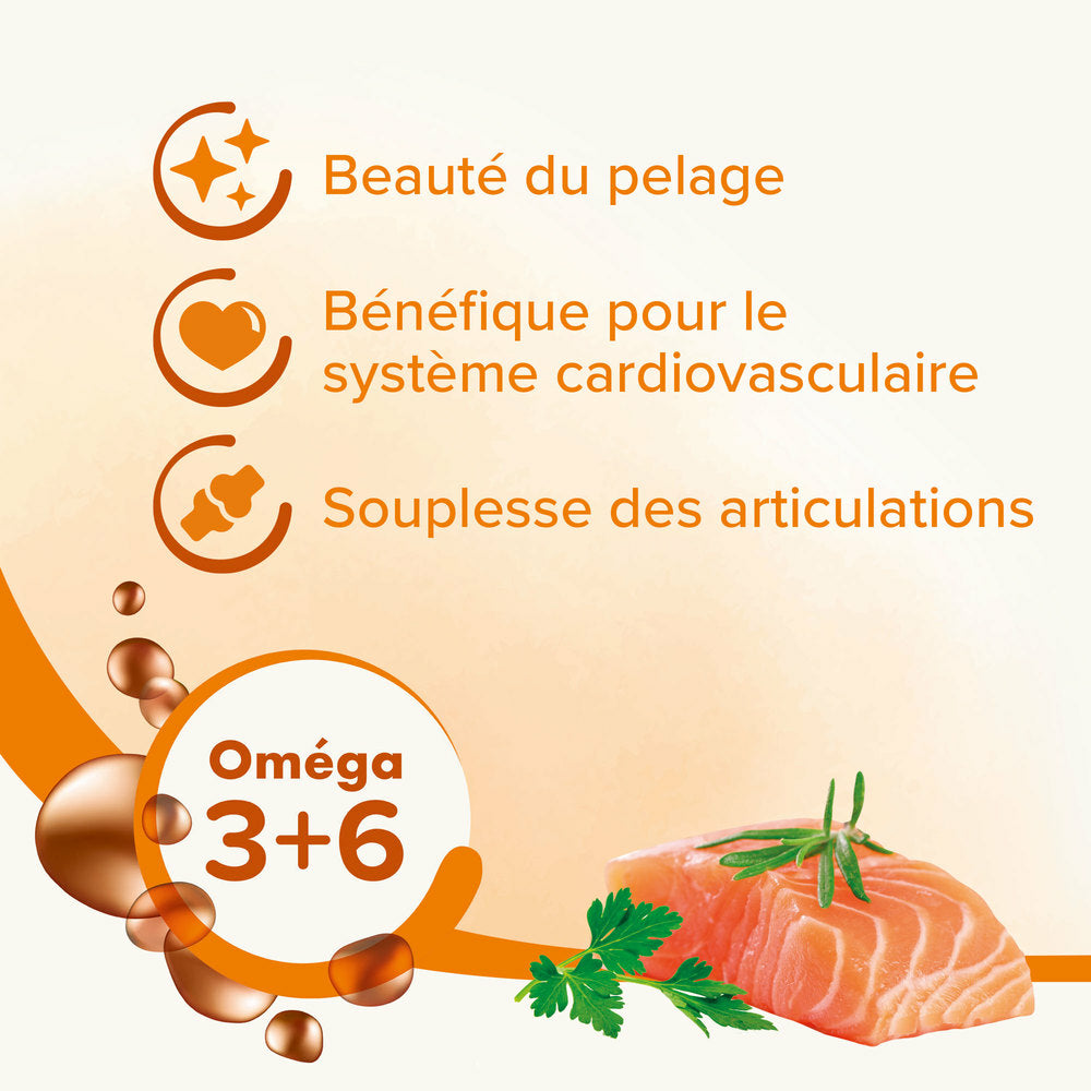 Huile de saumon Supplément pour chien et chat 430 ml