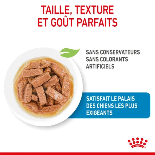 Royal Canin Maxi Puppy Sauce-Freshness sachet for puppies 140G