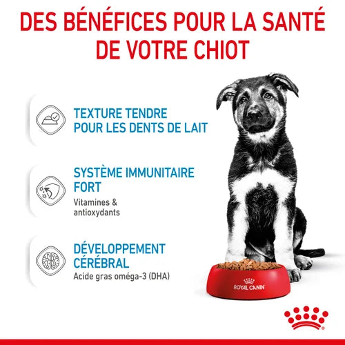 Royal Canin Maxi Puppy Sauce-Freshness sachet for puppies 140G
