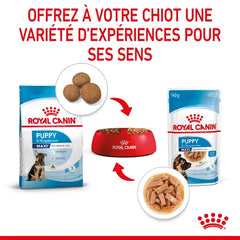 Royal Canin Maxi Puppy Sauce-Freshness sachet for puppies 140G