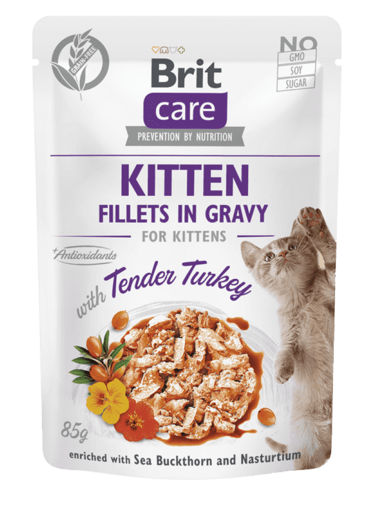 Brit Care Cat Aliment Humide Chat Kitten. Fillets in Gravy with Tender Turkey 85 G