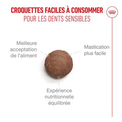 Royal Canin Aliment Sec pour Chat Ageing 11+ 2 Kg