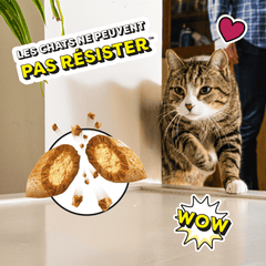 CATISFACTIONS™ Friandises saveur herbe à chat pour chat et chaton 60g