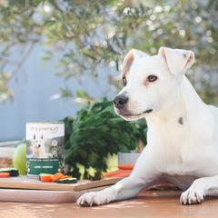 Ultra Premium Direct Aliment Humide Chien Sans Céréales - Agneau 400 G