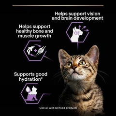 Pro Plan Kitten, Aliment Humide Chat, dinde en sauce (85Gx10)