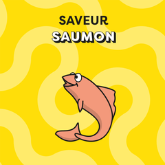 CATISFACTIONS™ Friandises saveur saumon pour chat et chaton 60g