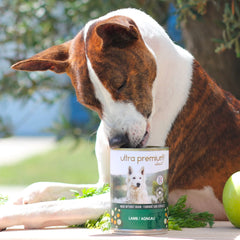 Ultra Premium Direct Aliment Humide Chien Sans Céréales - Agneau 400 G