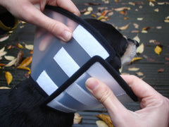 Cône de protection Capo (Carcan) XS