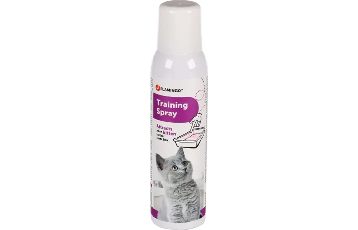 LIQUIDE D'ENTRAINEMENT CHATON