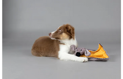 Flamingo Jouet pour Chien-Chiot Livo Couverture câlin & Chien