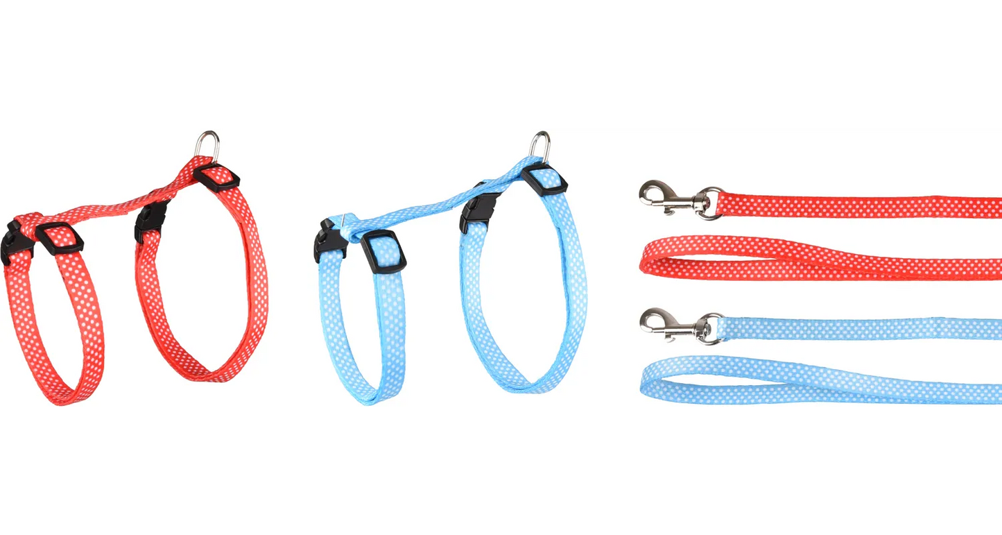 AIWA HARNESS WITH LEASH SEVERAL COLORS