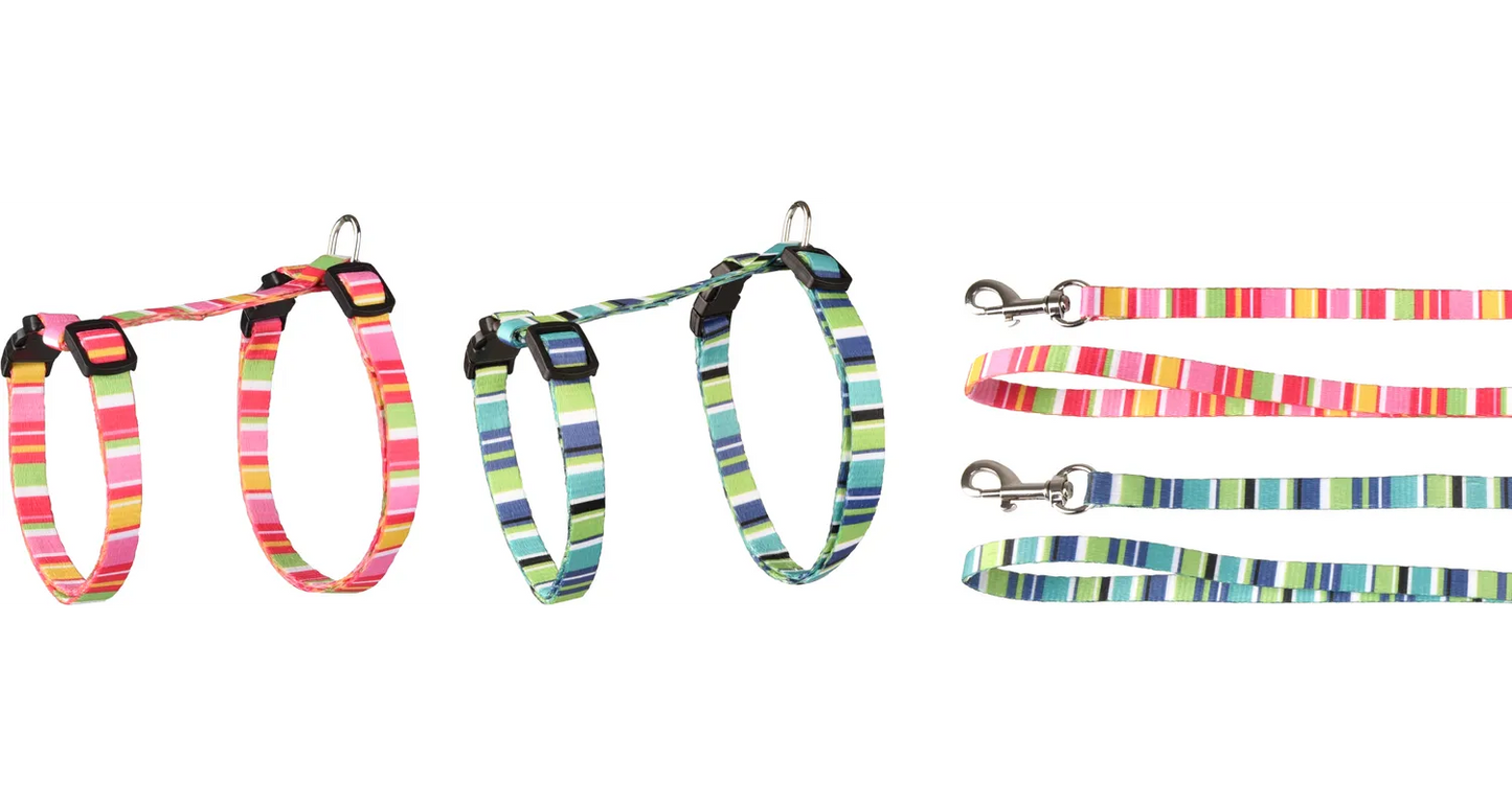 HARNESS WITH LEASH AMIRA SEVERAL COLORS