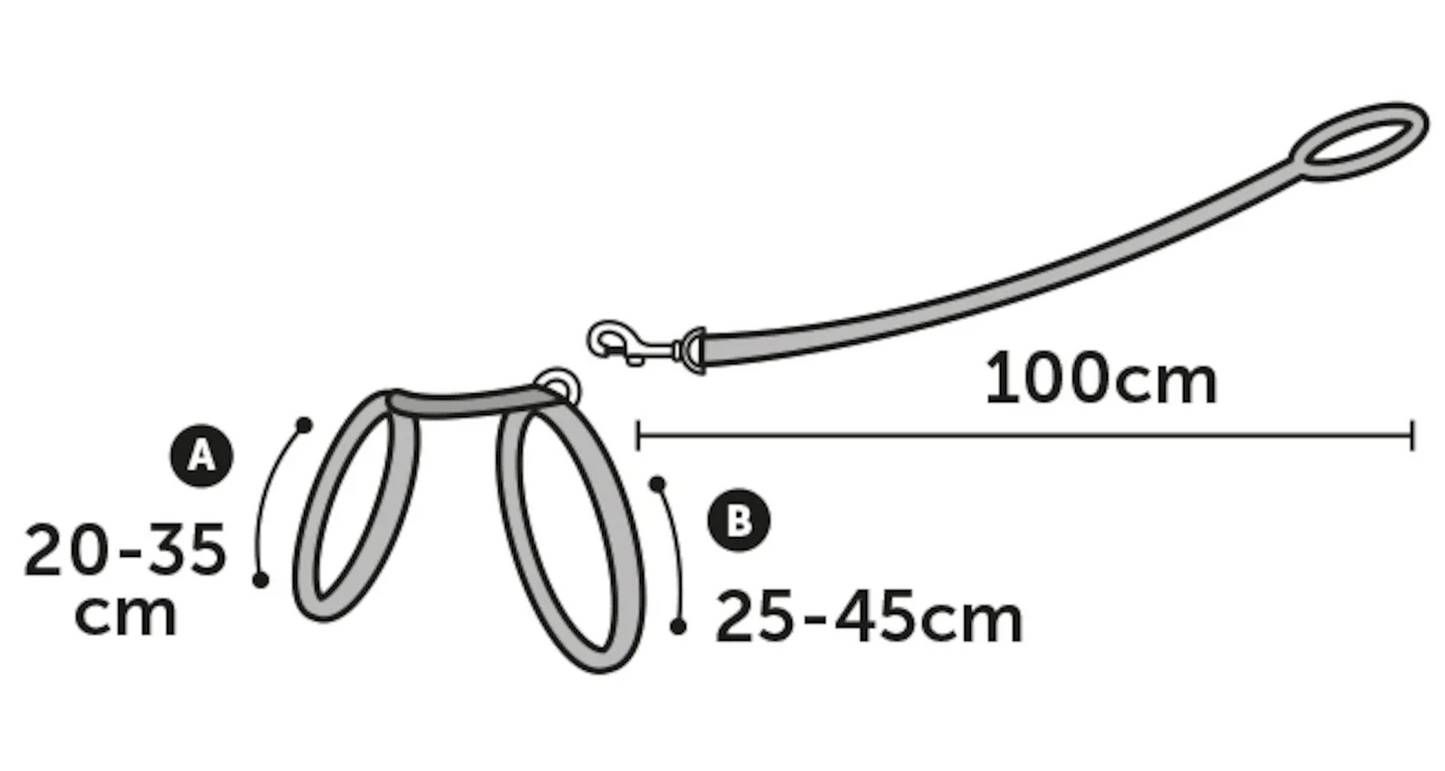 HARNESS WITH LEASH AMIRA SEVERAL COLORS