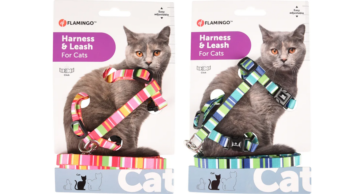 HARNESS WITH LEASH AMIRA SEVERAL COLORS