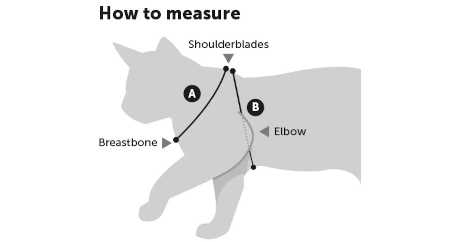 KITTEN HARNESS WITH LEASH ARWEN LIGHT BLUE