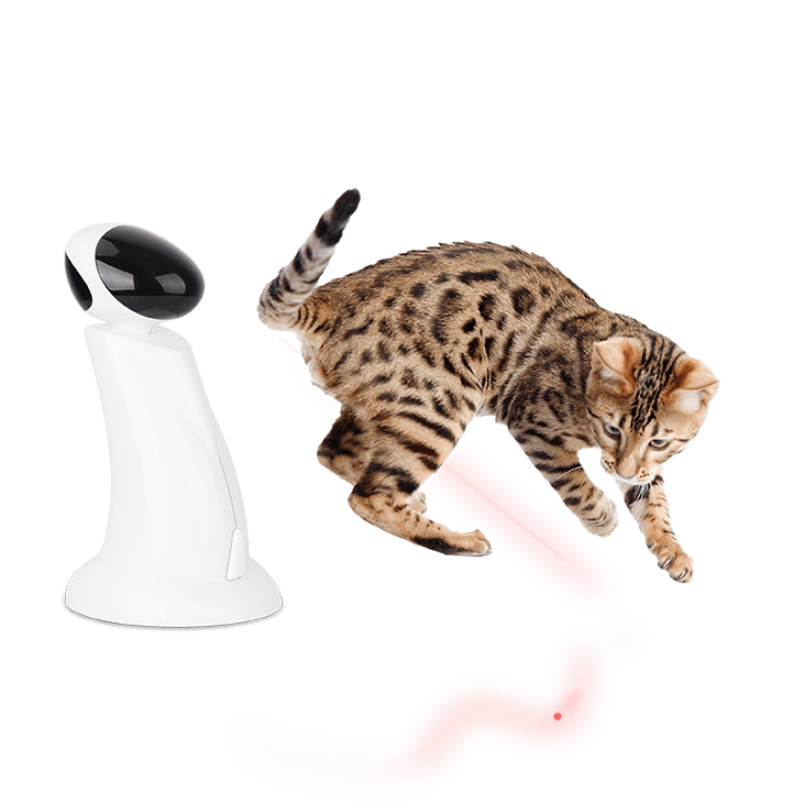 Iteractive Lazer Beam Chat