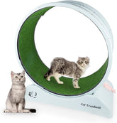 Jouet pour Chat Roue d’exercice PAWISE