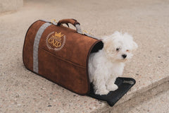 Sac, Caisse de Transport pour Chien au Chat CAZO Premium - 50x27x26cm