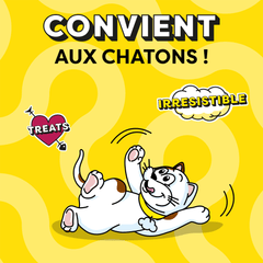 CATISFACTIONS™ Friandises saveur saumon pour chat et chaton 60g