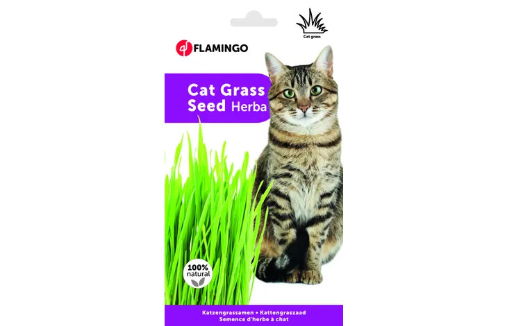 CATNIP