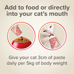 Pâte au saumon Supplément pour Chat spécial beauté du pelage 100 g