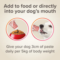 Beaphar Pâte d’huile de saumon Supplément pour Chien 100 g
