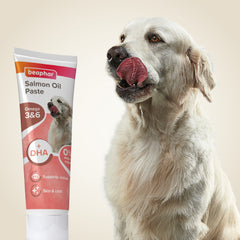 Beaphar Pâte d’huile de saumon Supplément pour Chien 100 g
