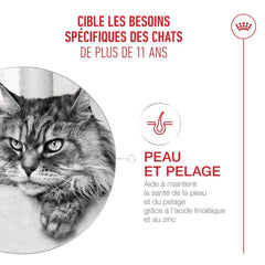 Royal Canin Aliment Sec pour Chat Ageing 11+ 2 Kg