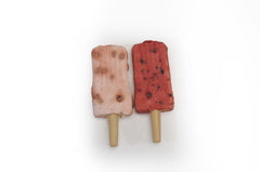 Popsicles au poulet aux saveurs de fraise et de myrtille 110g