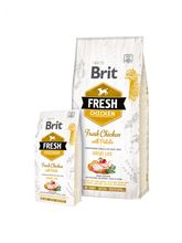 Brit Fresh Chicken with Potato Aliment Sec Chien Adult Great Life 12 Kg