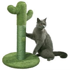 Grattoir pour chat arbre à cactus Pawise - 30L x 30W x 54H cm