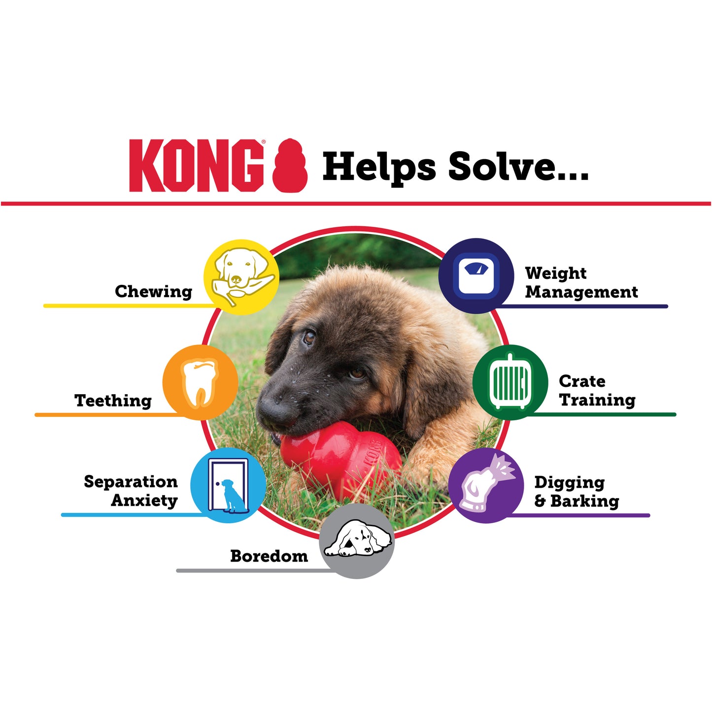 Jouet pour Chien KONG PUPPY