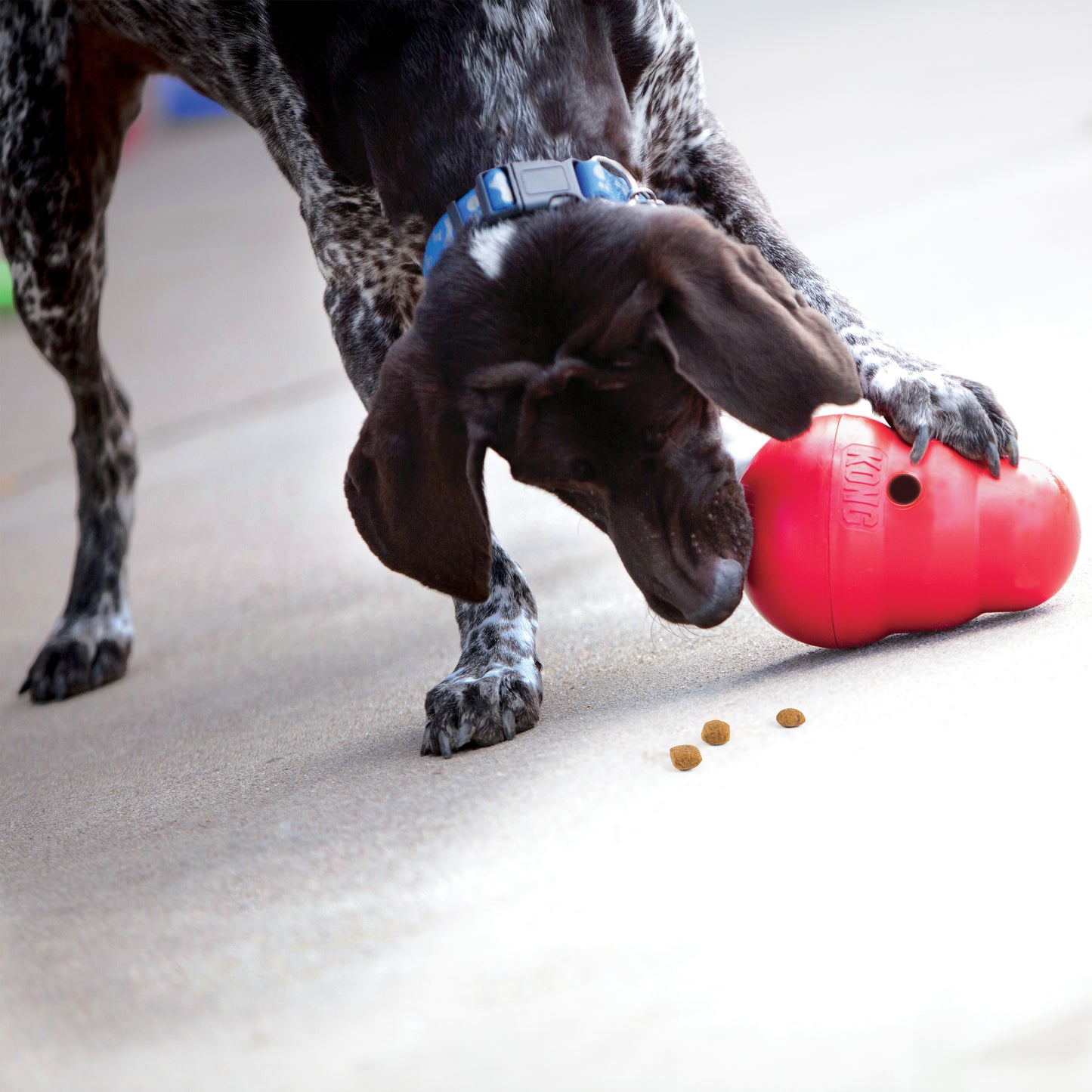 Jouet pour Chien Kong WOBBLER