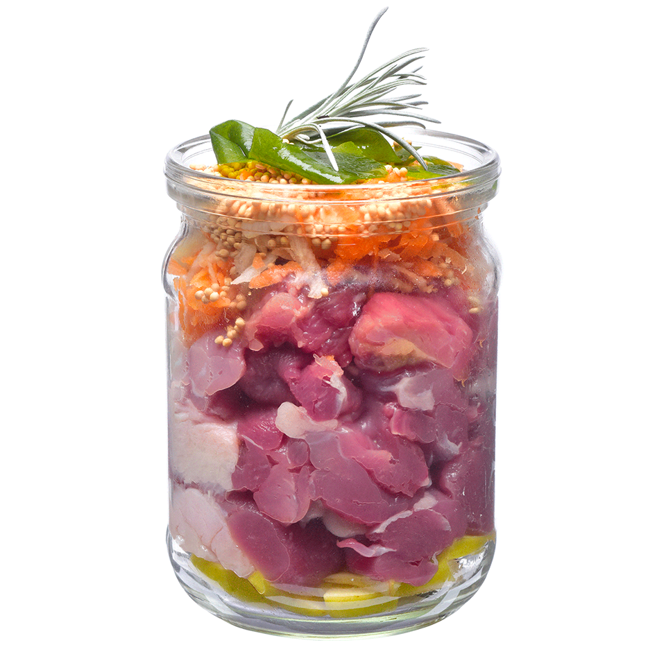 Brit Aliment Humide Chien Fresh Duck with Millet 400 G