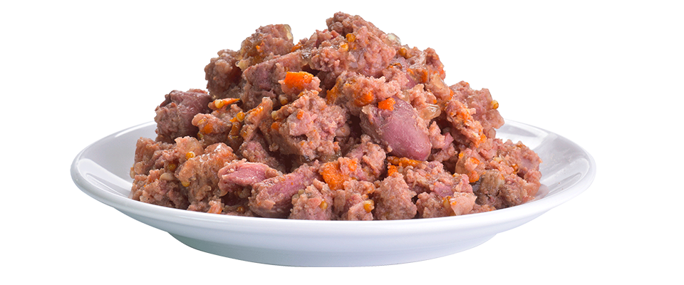 Brit Aliment Humide Chien Fresh Duck with Millet 400 G