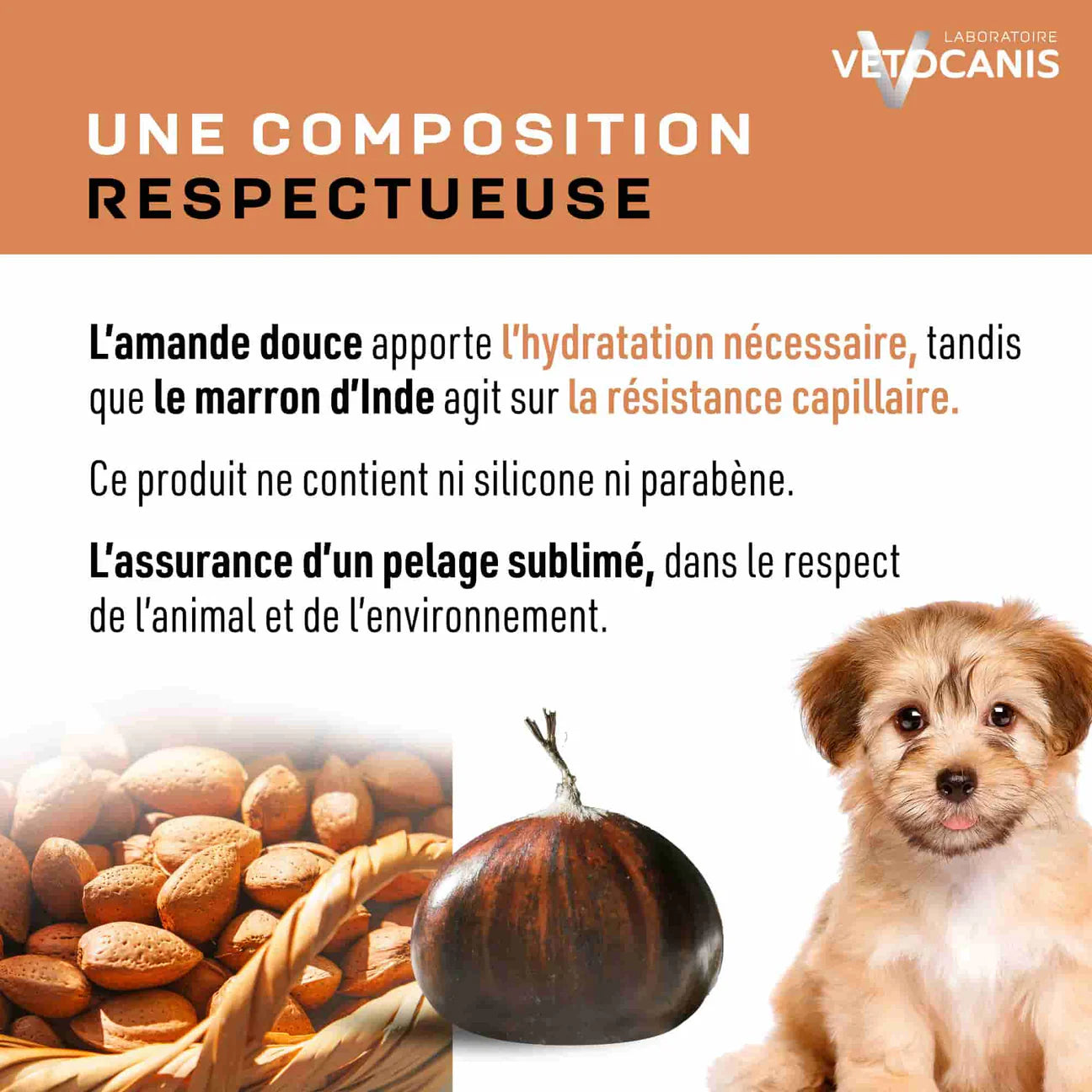 Puppy Shampoo, Sweet Almond Extract. 300ml