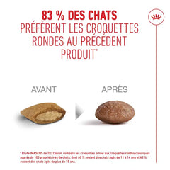 Royal Canin Aliment Sec pour Chat Ageing 11+ 2 Kg