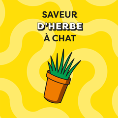 CATISFACTIONS™ Friandises saveur herbe à chat pour chat et chaton 60g