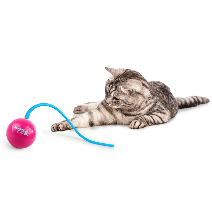 AFP Jouet pour Chat Whirlling tailBalle interactive