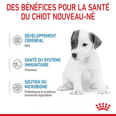 Royal Canin BABYDOG MILK 400 G