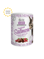 Brit Care Cat Snack Superfruits Salmon 100 G